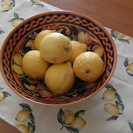 Titi E Toto House